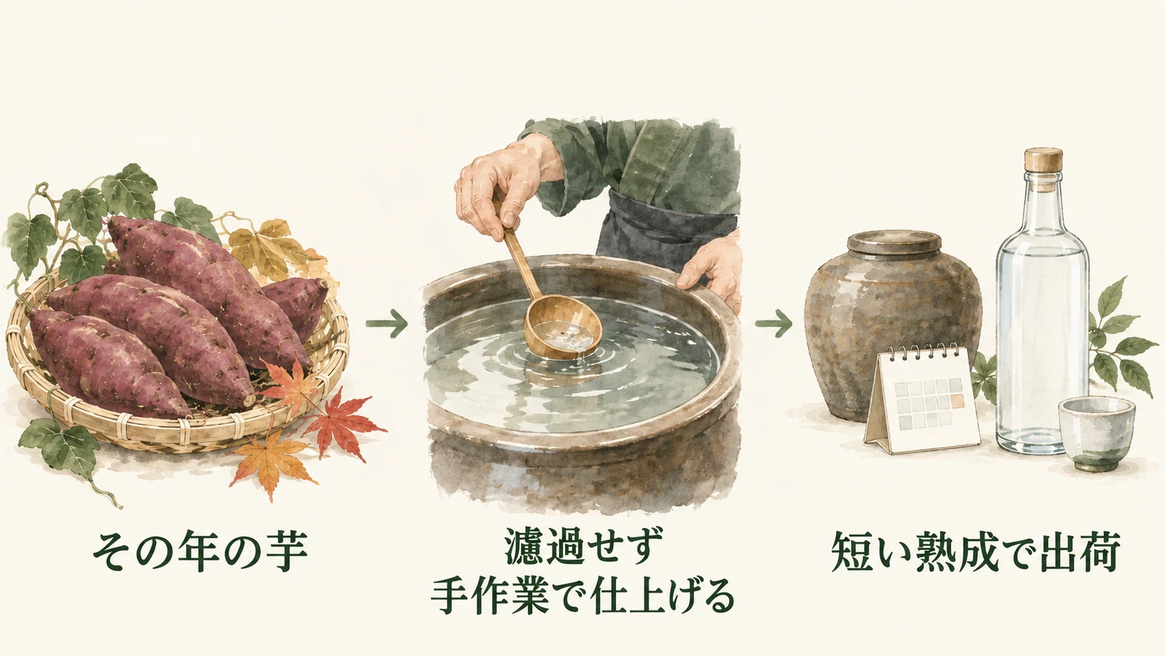秋に収穫したさつまいも、手作業で不純物を取り除く無濾過の仕上げ、短い熟成で出荷する新酒のイメージ